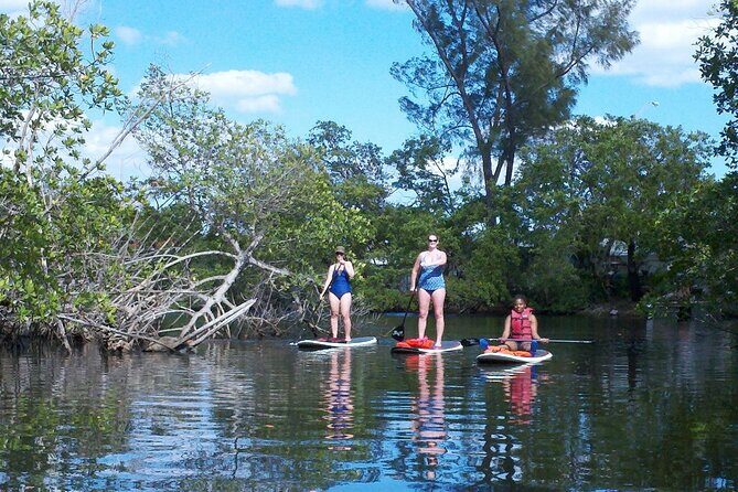 Fort Lauderdale Bonnet House Ground and Guided Paddle Board Kayak - Paddle Options and Gear: Kayak vs Paddleboard (and What to Ask For)
