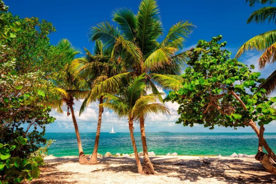 Fort Lauderdale: Key West Day Trip with Optional Activities - Key points to know before you go