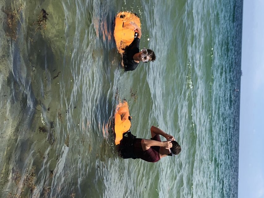 Fort Lauderdale: Ultimate SEABOB Snorkel Rental & Excursion - Key points before you go