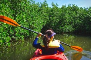 Fort Lauderdale’s Tropical Kayak Tour and Island Adventure - Your 2-hour paddle plan: what to expect on the water