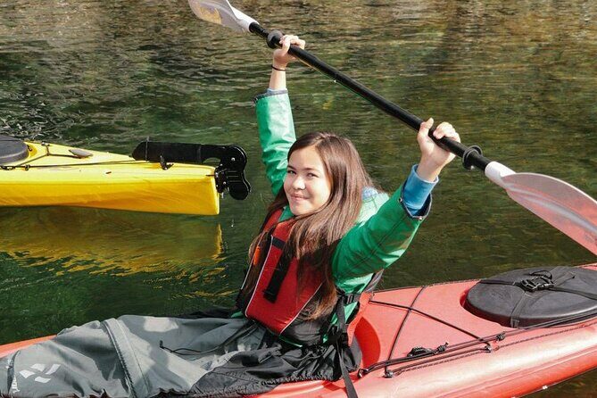 Fort Lauderdale’s Tropical Kayak Tour and Island Adventure - Mangroves and wildlife: what you can realistically hope to see