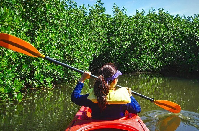 Fort Lauderdale’s Tropical Kayak Tour and Island Adventure - Gear and what to bring: the simple checklist that makes it smoother