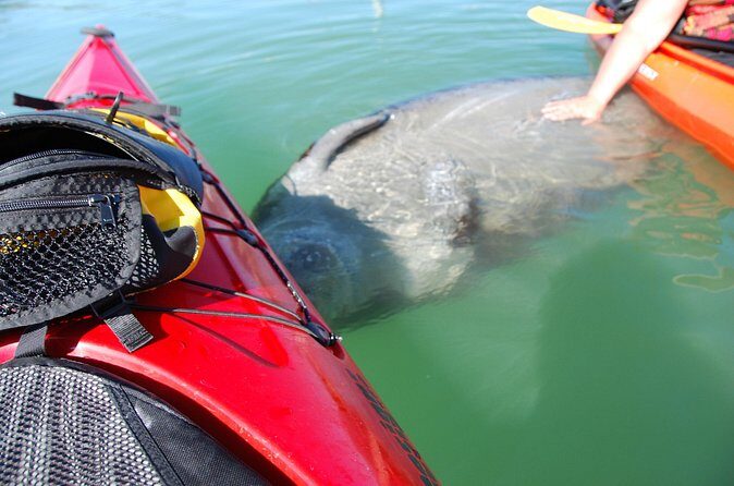 Fort Lauderdale’s Tropical Kayak Tour and Island Adventure - Meeting point and timing: where to start and how to plan your day