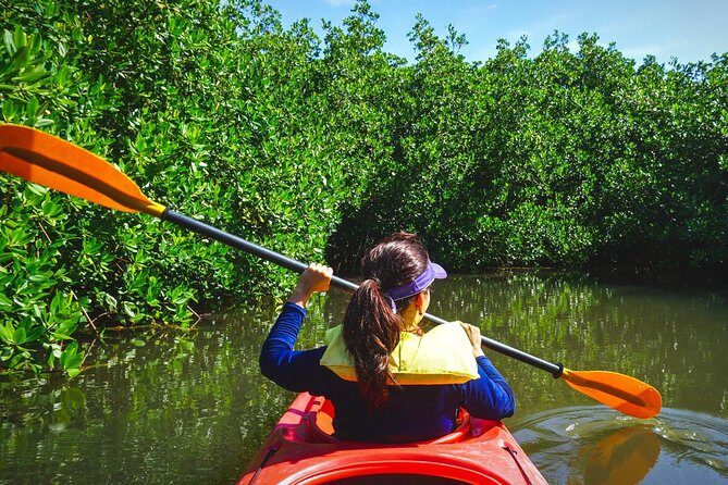 Fort Lauderdale’s Tropical Kayak Tour and Island Adventure - Your 2-hour paddle plan: what to expect on the water