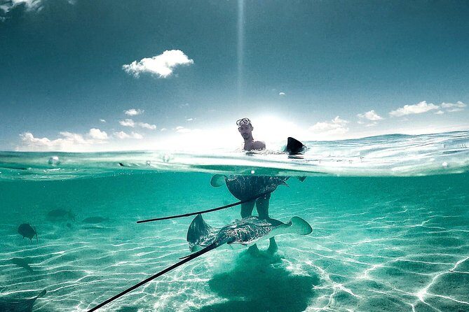 FROM FLORIDA: Bahamas Day Escape By Ferry - Bimini or Grand Bahama: Picking the Beach Plan That Actually Fits Your Schedule