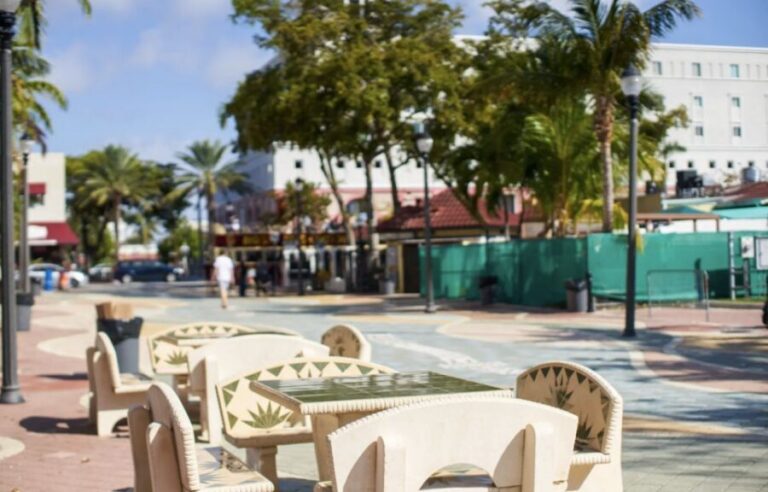 From Fort Lauderdale: Best of Miami Small Group Tour w/Boat - Riding in a Mercedes Metris: Why Comfort Helps in a 6-Hour Day