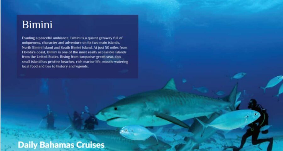 From Fort Lauderdale: Bimini Island Day Trip by Ferry - Price and value: is $289 a good deal?