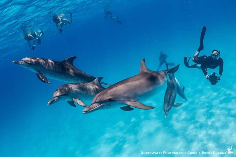 From Fort Lauderdale: Bimini Island Day Trip by Ferry - Beach time can feel surprisingly spacious