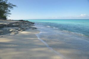 From Fort Lauderdale: Day Trip to Bimini - Bimini free time: how to use your 11:00 AM–5:00 PM window
