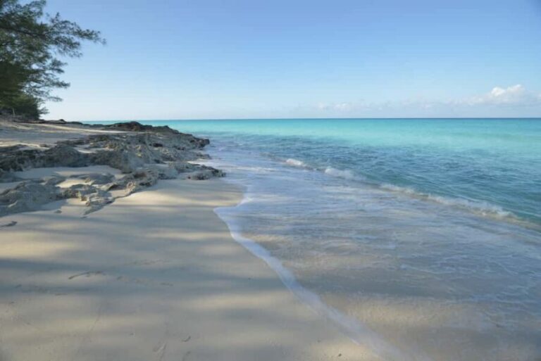 From Fort Lauderdale: Day Trip to Bimini - Bimini free time: how to use your 11:00 AM–5:00 PM window