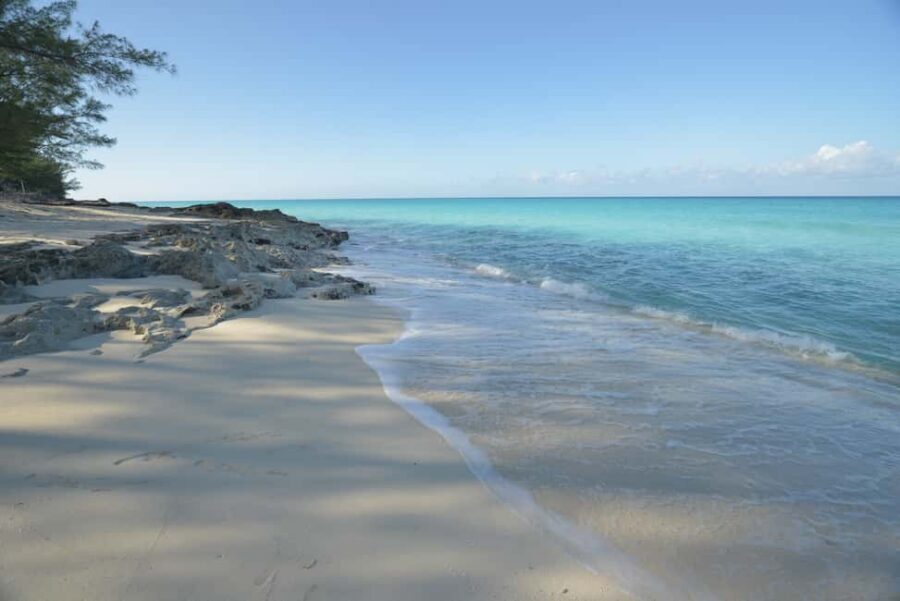 From Fort Lauderdale: Day Trip to Bimini - Bimini free time: how to use your 11:00 AM–5:00 PM window