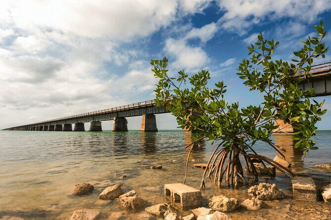 Ft. Lauderdale to Key West Day Trip Quality Day Tours - A Long Day South: Fort Lauderdale to the Upper Keys