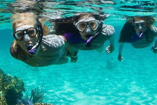 Guided Reef Snorkeling Tour in Pompano Beach - Key Highlights You’ll Actually Care About