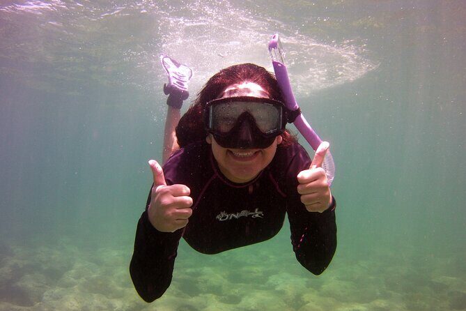 Guided Snorkel Experience in Fort Lauderdale - Where You Meet: A 10:00am Start in Lauderdale-By-The-Sea