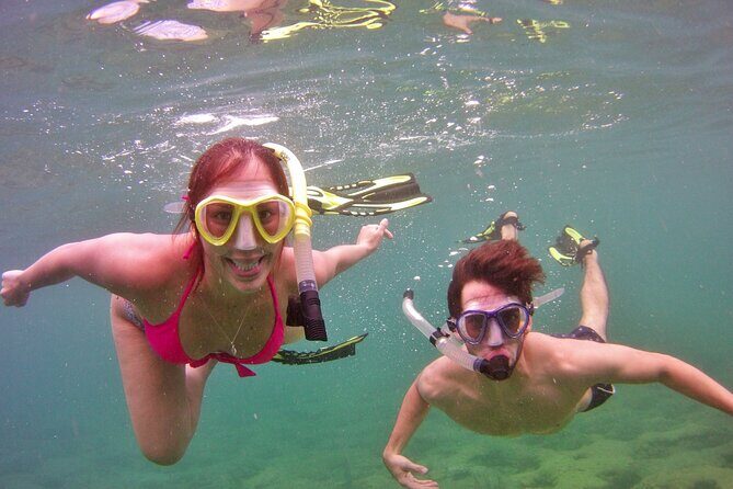 Guided Snorkel Experience in Fort Lauderdale - How Fit Do You Need to Be for This Reef Swim?