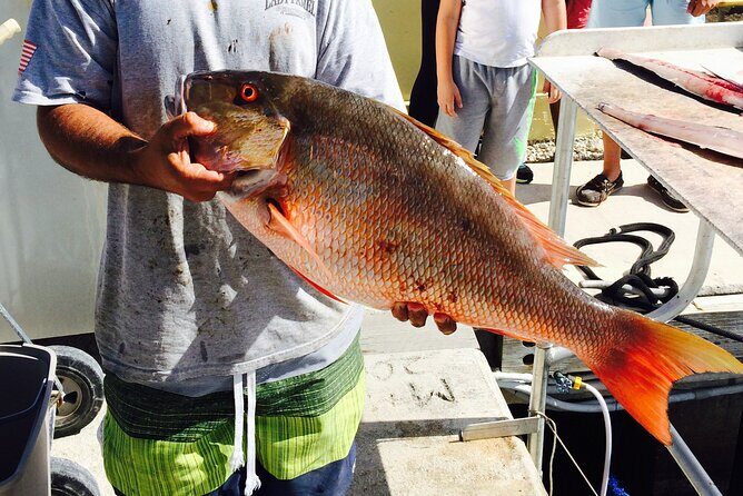 Half-Day Fishing Trip in Fort Lauderdale - Should you book this half-day charter?