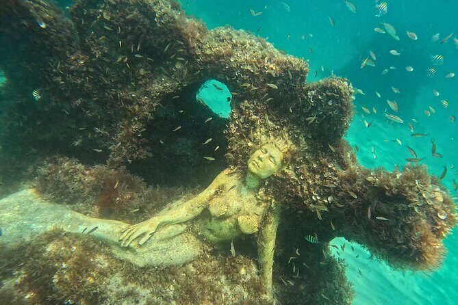Hollywood Snorkel, Kayak & Paddleboard with Reefs and Sculptures - Hollywood under the water: what makes these reefs special