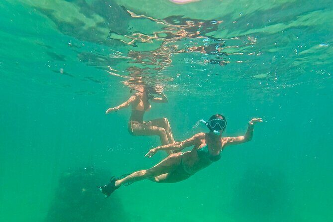 Hollywood Snorkel, Kayak & Paddleboard with Reefs and Sculptures - Price and value: is $89 for this mix fair?