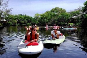 Island City ECO Paddle and Lesson to 9.3 Acre Nature Preserve - Meeting at Sunrise Paddleboards: Gear Up Without the Fuss