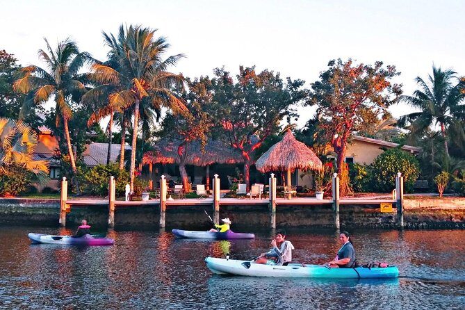 Kayak Rental: Explore Mangroves and Self-Navigated River Eco Paddle - Quick hits before you paddle