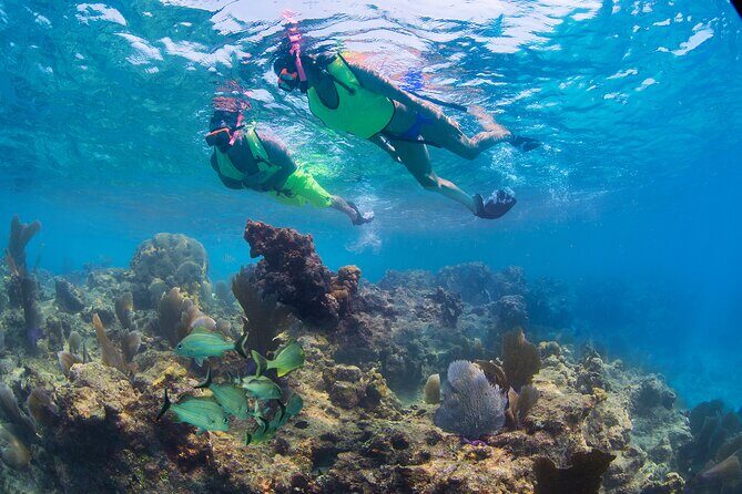 Key West Sail and Snorkel Day Trip from Fort Lauderdale - Snorkeling the coral reef: equipment, instruction, and what you might see