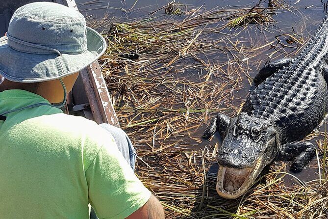 Little Havana Walking Tour + 1 Hour Everglades Airboat Ride - Pace, group size, and why the $195 price can make sense