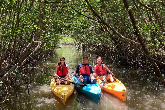 Mangrove Tunnel Kayak Eco Tour - Why the Mangrove Tunnels at West Lake Park Are Worth the Paddle