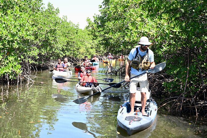 Mangrove Tunnel Kayak Eco Tour - Price and Logistics: Getting There and Getting Your Money’s Worth