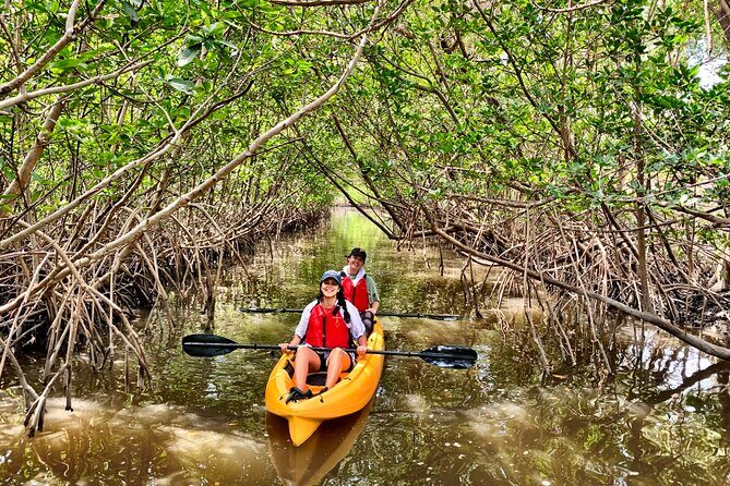 Mangrove Tunnel Kayak Eco Tour - FAQ