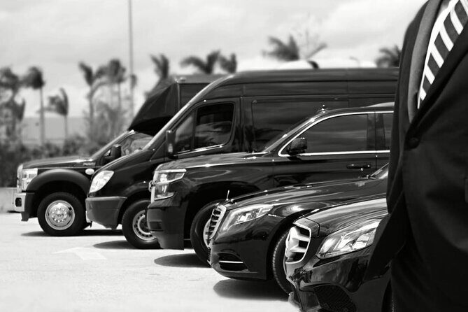 One-Way Transfer from the Airport to the Cruise Port - Key Things That Make This Transfer Work in Real Life