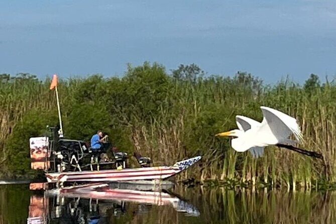 Private 90 Minutes Everglades Airboat Adventure - The One-Stop Plan: Florida Love Airboat Tours and the 90-Minute Ride