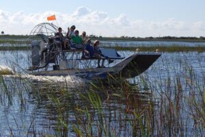 Private Tour: Florida Everglades Airboat Ride and Wildlife Adventure - On the Airboat: What a Private Captain-Driven Ride Really Delivers
