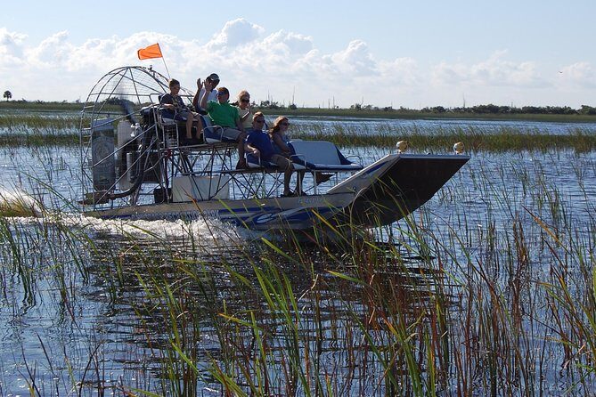 Private Tour: Florida Everglades Airboat Ride and Wildlife Adventure - On the Airboat: What a Private Captain-Driven Ride Really Delivers