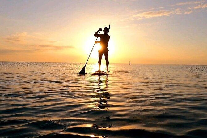 Reef Snorkel & Ocean Paddle Adventure in Fort Lauderdale Beach - The route stops: what the Visitor Center and pier add to your day