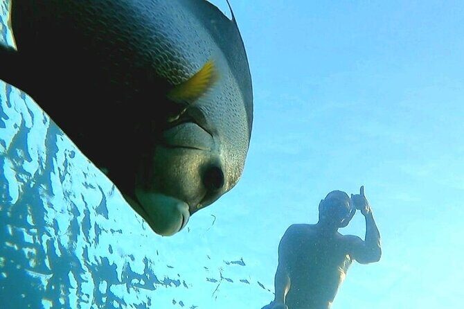 Reef Snorkel & Ocean Paddle Adventure in Fort Lauderdale Beach - What’s included in the $115 price (and where you save real money)