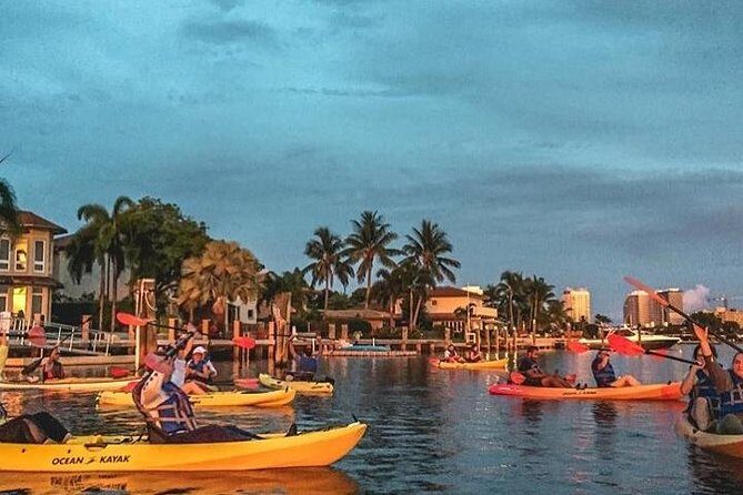 Seven Isles of Fort Lauderdale Kayak Tour - Manatee chances and what to do if you spot wildlife