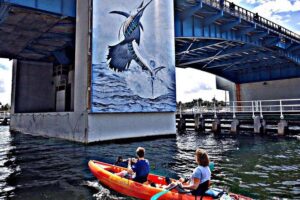 Seven Isles Tour & Exclusive Fort Lauderdale Mangrove & ECO Paddle Board / Kayak - Coconut Cove launch and the Bonnet House grounds bonus