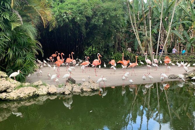 Skip the Line: Flamingo Gardens Admission Ticket in Fort Lauderdale - Why Flamingo Gardens Feels Like a Back-Door to the Everglades