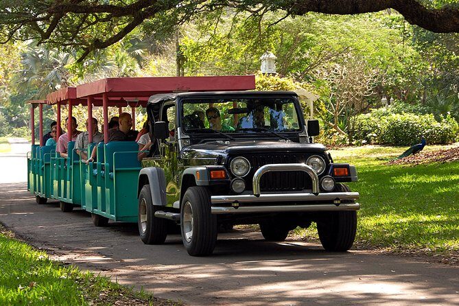 Skip the Line: Flamingo Gardens Admission Ticket in Fort Lauderdale - How to Plan Your 4-Hour Visit Without Feeling Chased
