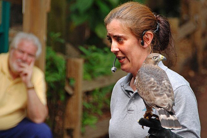 Skip the Line: Flamingo Gardens Admission Ticket in Fort Lauderdale - Wildlife Sanctuary Highlights: Flamingos, Panthers, Bears, and the Aviary