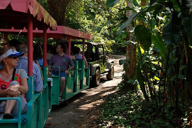Skip the Line: Flamingo Gardens Admission Ticket in Fort Lauderdale - Trams and Wildlife Encounters: The Best Way to See More