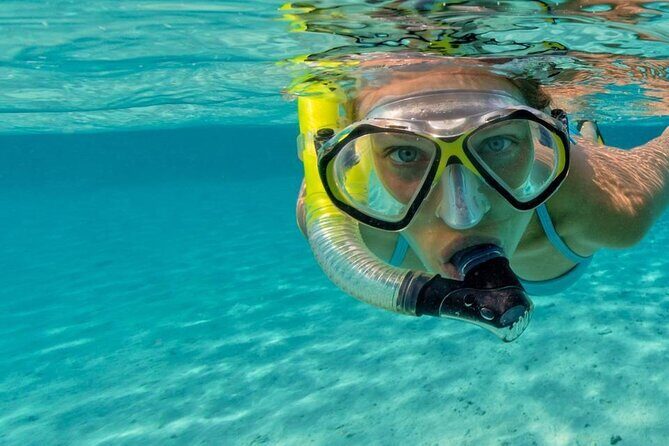Snorkel Fort Lauderdale Jean Cousteaus Reef and Snorkel Trail - From Lauderdale-By-The-Sea to the Water: How the 90 Minutes Usually Work