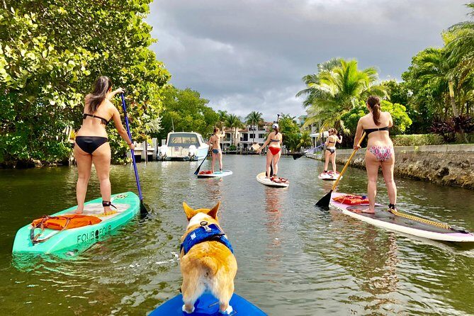 SUP PUP Paddleboard Tour - Key things to know before you paddle