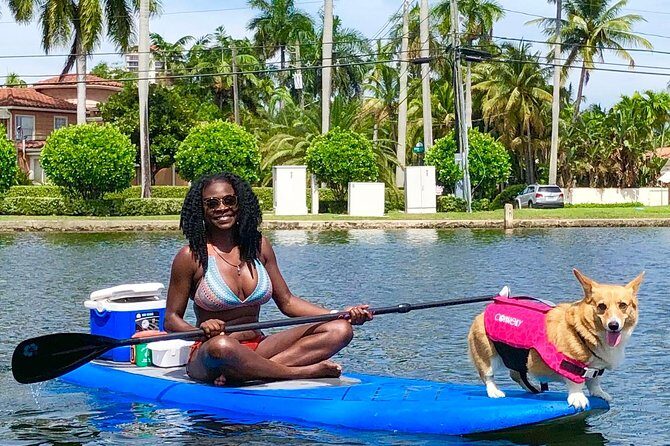 SUP PUP Paddleboard Tour - What to Wear and Bring for a Smooth Paddle