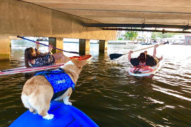 SUP PUP Paddleboard Tour - Is This Tour Worth Your Time? (Who Should Book)