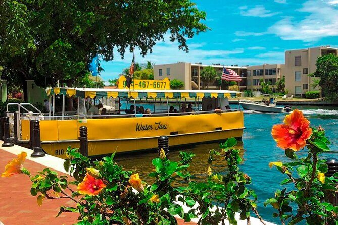 Water Taxi All Day hop-on hop-off Venice of America Boat Tour - Why Fort Lauderdale’s Water Taxi Feels Like the Venice of America